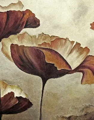 Estores de rolo interiores para janela Flores
