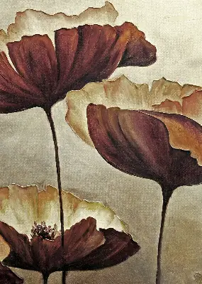 Estores de rolo interiores para janela Flores