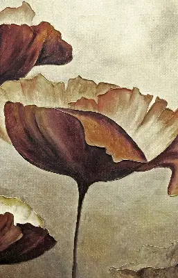 Estores de rolo interiores para janela Flores