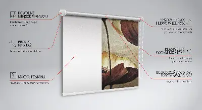 Estores de rolo interiores para janela Flores