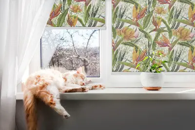 Estores de rolo interiores para janela Plantas exóticas