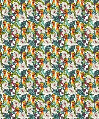 Estores de rolo interiores para janela Pássaros e flores
