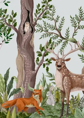 Estores de rolo interiores Animais da floresta