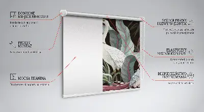 Estores de rolo interiores para janela Pássaros nas folhas