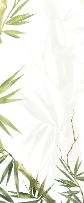 Estores de rolo para janela Bambu