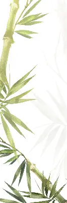 Estores de rolo para janela Bambu