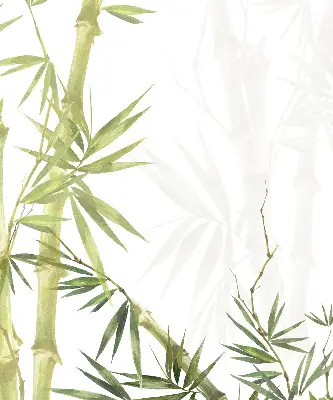 Estores de rolo para janela Bambu