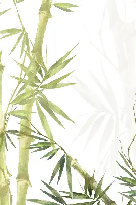 Estores de rolo para janela Bambu