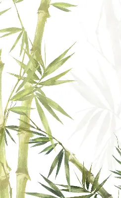 Estores de rolo para janela Bambu