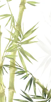 Estores de rolo para janela Bambu