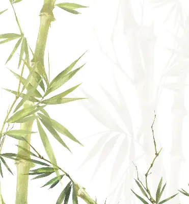 Estores de rolo para janela Bambu