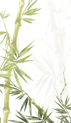 Estores de rolo para janela Bambu