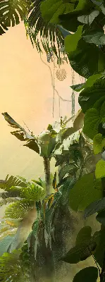 Estores de rolo interiores Estrutura para plantas