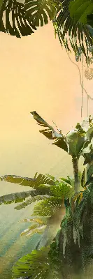 Estores de rolo interiores Estrutura para plantas