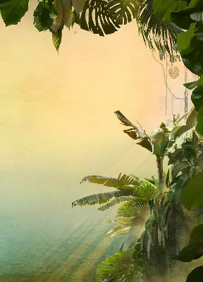 Estores de rolo interiores Estrutura para plantas