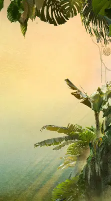 Estores de rolo interiores Estrutura para plantas