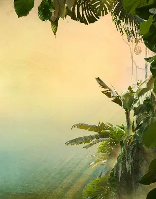 Estores de rolo interiores Estrutura para plantas