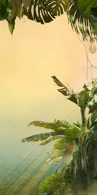 Estores de rolo interiores Estrutura para plantas