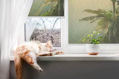 Estores de rolo interiores Estrutura para plantas