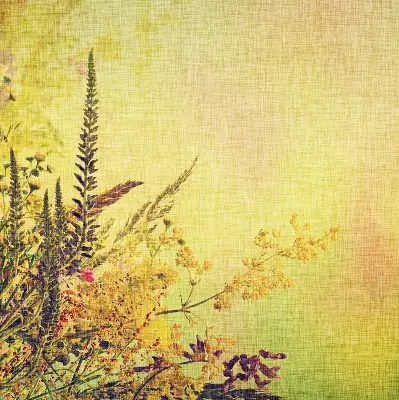 Estores de rolo em tecido Plantas