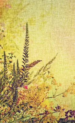 Estores de rolo em tecido Plantas
