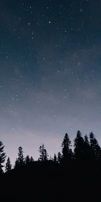 Estores de rolo para porta de varanda Céu estrelado