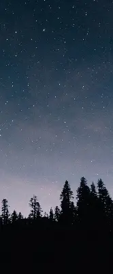 Estores de rolo para porta de varanda Céu estrelado