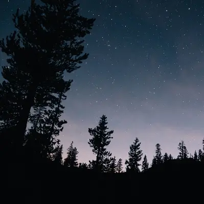 Estores de rolo para porta de varanda Céu estrelado