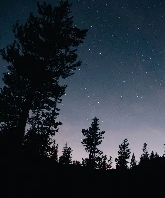 Estores de rolo para porta de varanda Céu estrelado