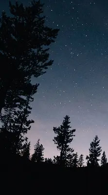 Estores de rolo para porta de varanda Céu estrelado