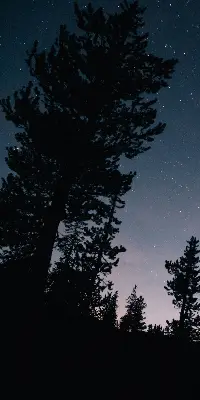 Estores de rolo para porta de varanda Céu estrelado