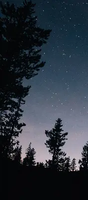 Estores de rolo para porta de varanda Céu estrelado