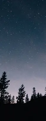 Estores de rolo para porta de varanda Céu estrelado