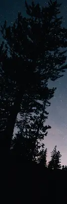 Estores de rolo para porta de varanda Céu estrelado