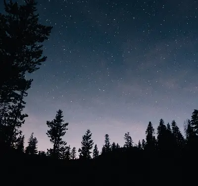 Estores de rolo para porta de varanda Céu estrelado