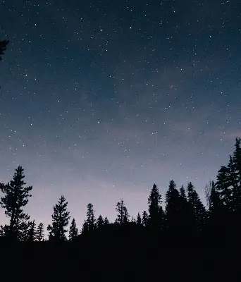 Estores de rolo para porta de varanda Céu estrelado
