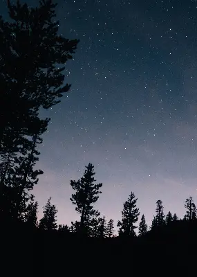 Estores de rolo para porta de varanda Céu estrelado