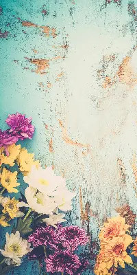 Estores de rolo para porta de varanda Flores em um fundo azul