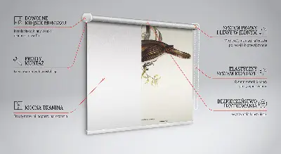 Estores de rolo interiores Pássaros em uma árvore
