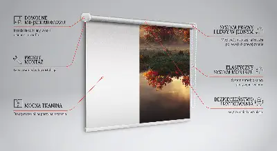 Estores de rolo interiores para janela Pôr do sol atrás das árvores
