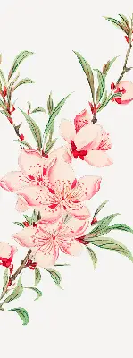 Estores de rolo interiores para janela Flor rosa