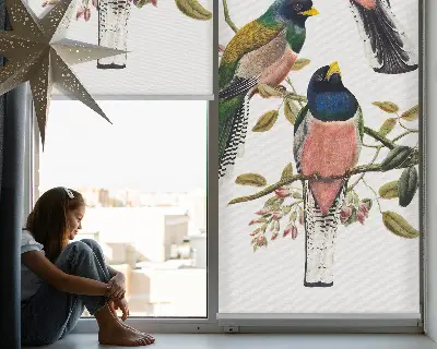 Estores de rolo em tecido Pássaros nos galhos