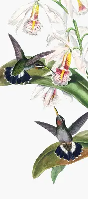 Estores de rolo para janela Pássaros em uma flor