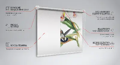 Estores de rolo para janela Pássaros em uma flor