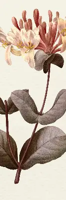 Estores de rolo para porta de varanda Flor caindo