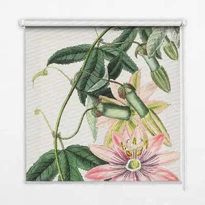 Estores de rolo para janela Flor rosa
