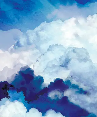 Estores de rolo interiores Nuvens