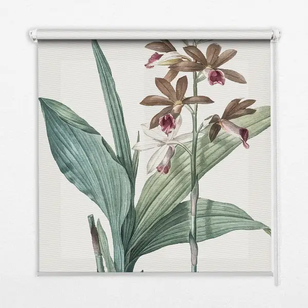 Estores de rolo para porta de varanda Flor