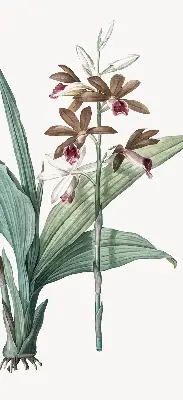 Estores de rolo para porta de varanda Flor