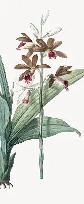 Estores de rolo para porta de varanda Flor